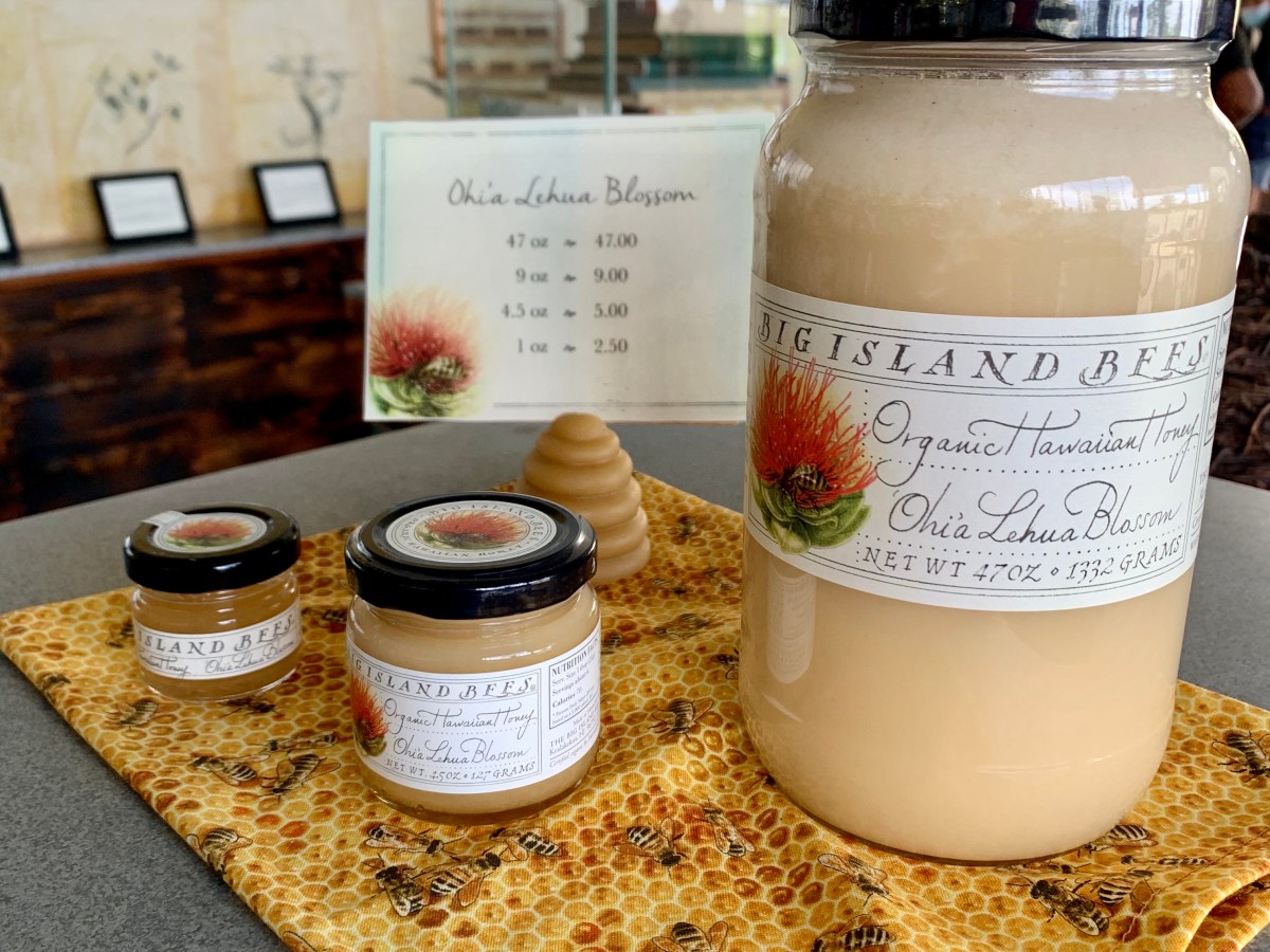 The Buzz about&nbsp;Bees