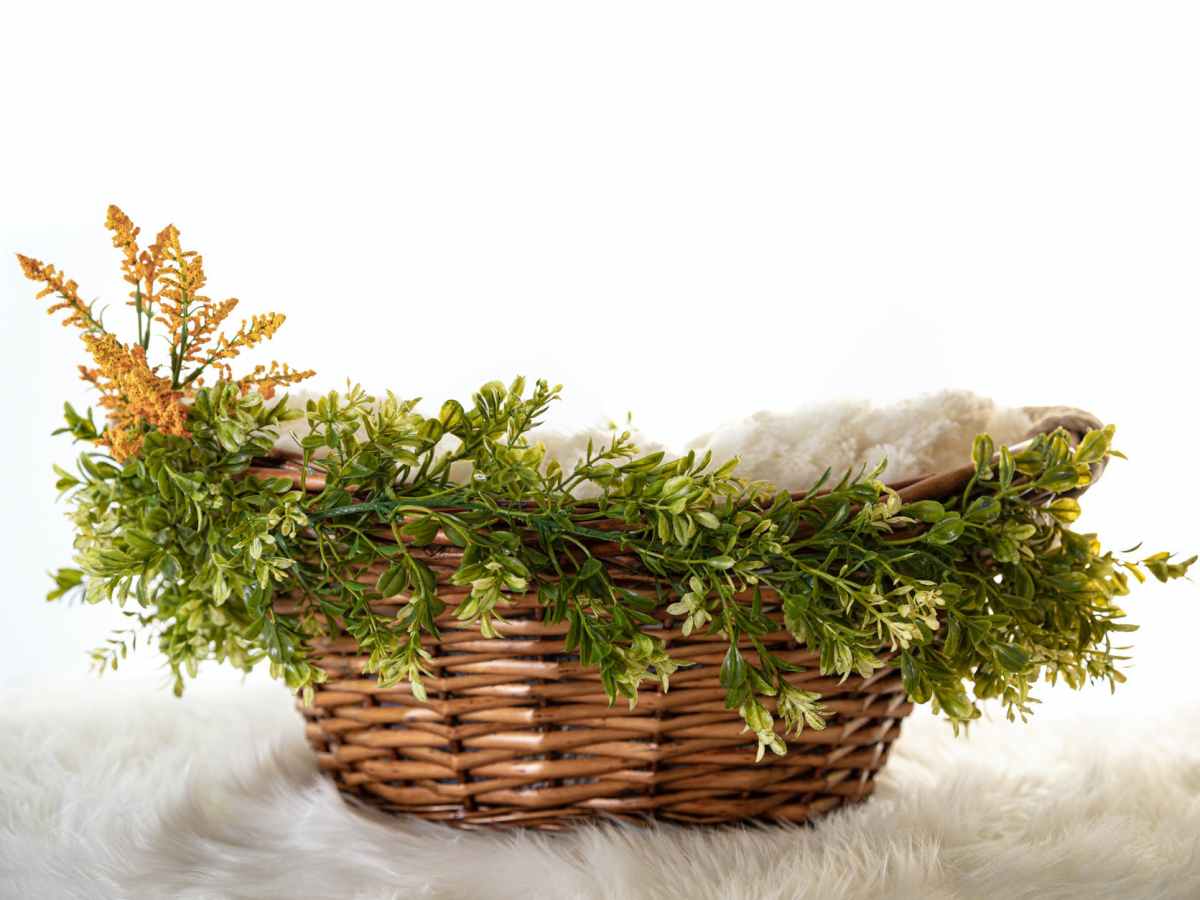 (Day 4) Lessons from Jochebed: Basket&nbsp;Making