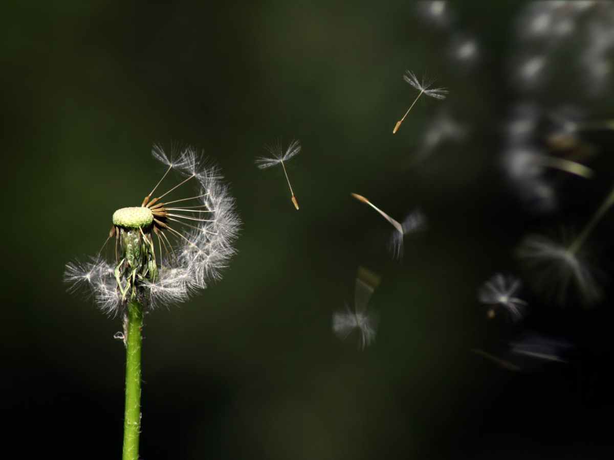 Lessons from Jochebed: A Season of Letting&nbsp;Go