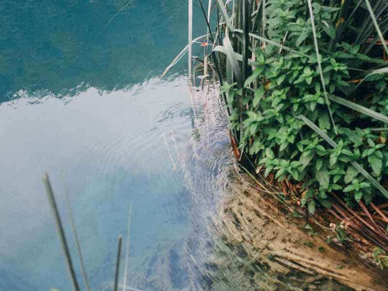 Day 5: Lessons from Jochebed: Testing the&nbsp;Waters