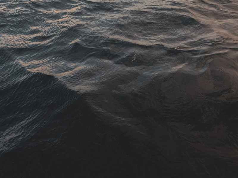 Day 8: Lessons from Jochebed: Difficult&nbsp;Obedience