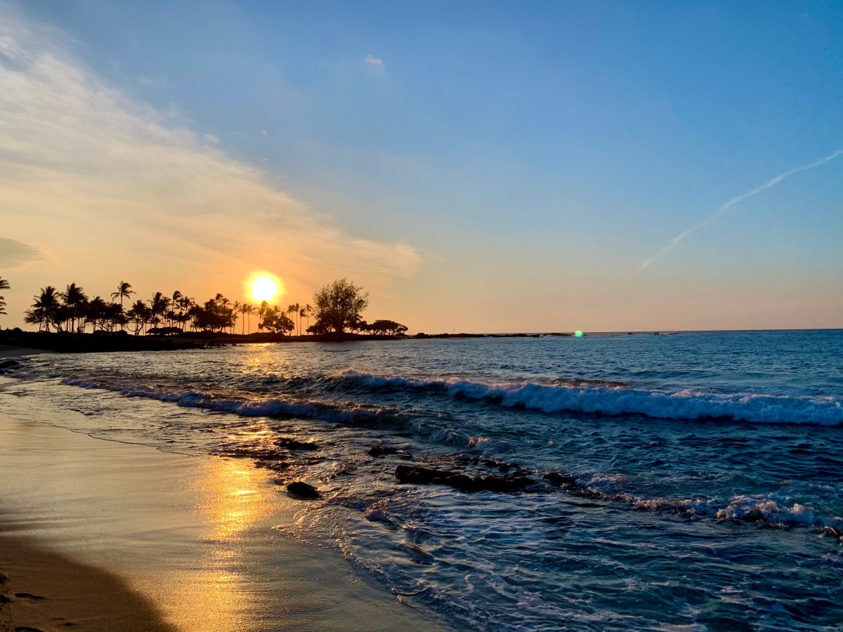 180 Days of&nbsp;Aloha