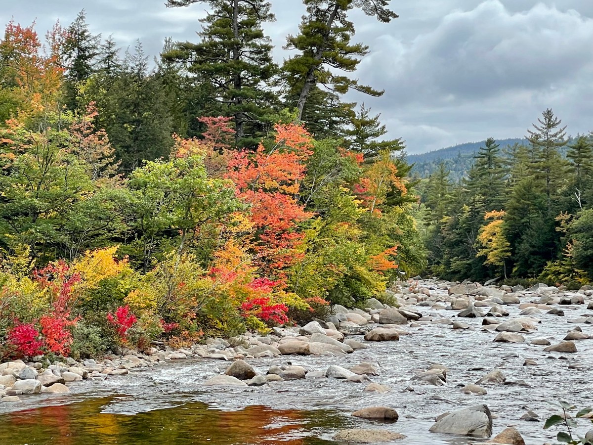 Leaf Peeping Along the&nbsp;Kancamagus