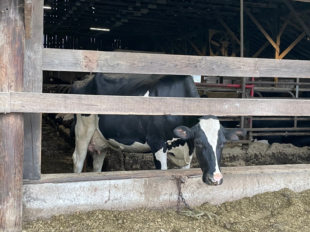 Utterly Charming! Our Getaway to Liberty Hill&nbsp;Farm